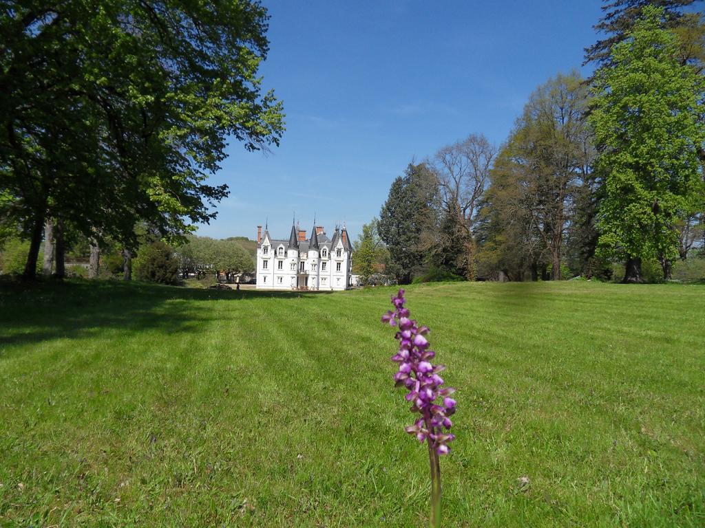 Chateau De La Motte Noailly ภายนอก รูปภาพ