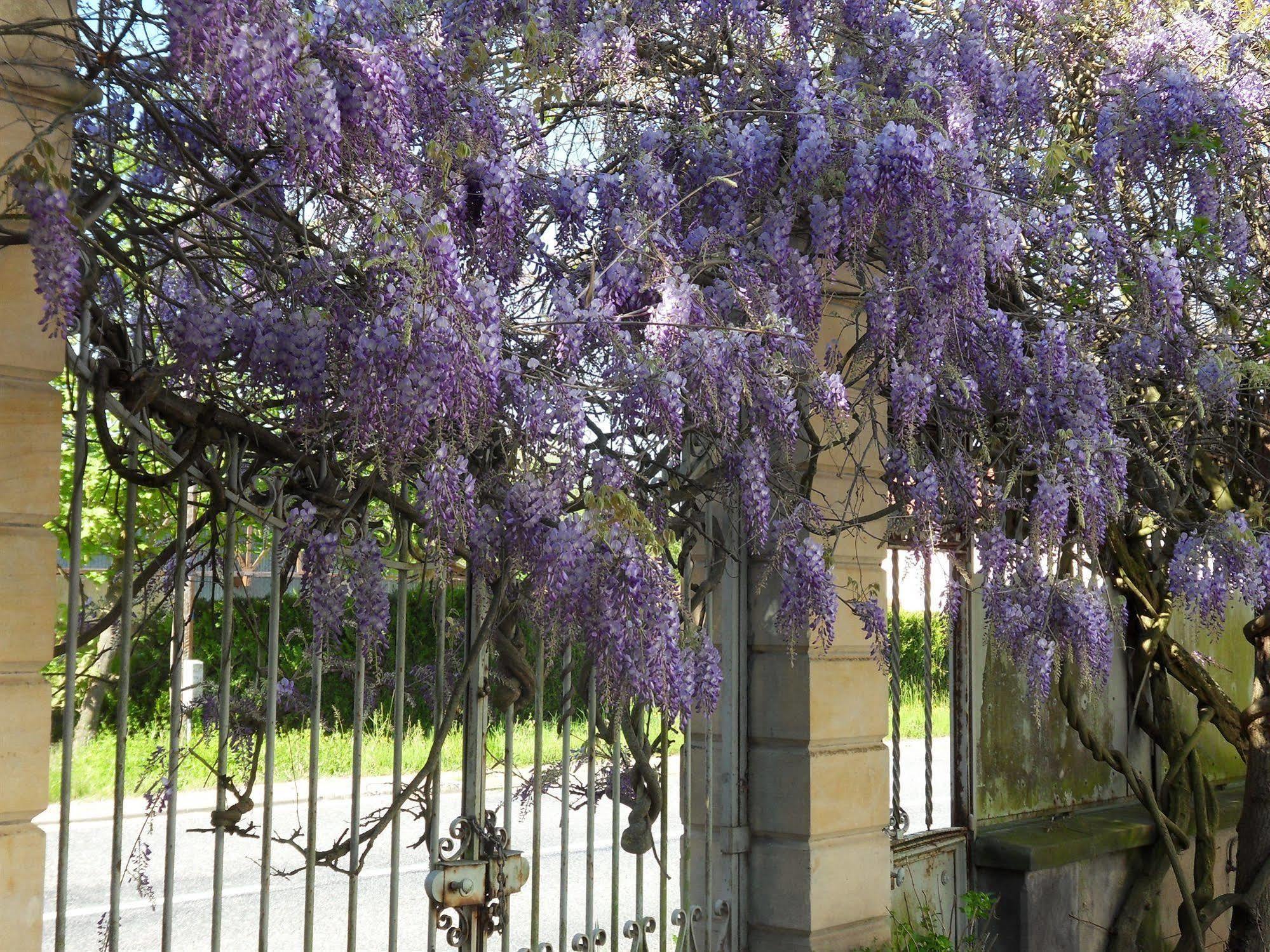 Chateau De La Motte Noailly ภายนอก รูปภาพ